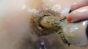 Free Scat Porn