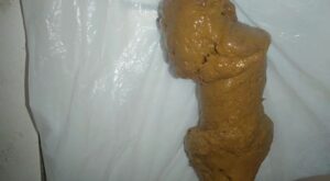 Free Scat Porn