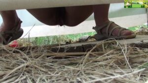 Free Scat Porn