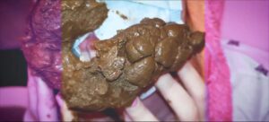 Free Scat Porn
