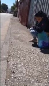Free Scat Porn