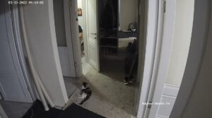 Free Scat Porn