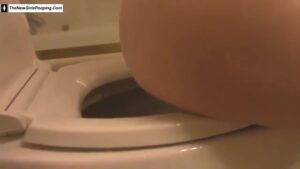 Free Scat Porn