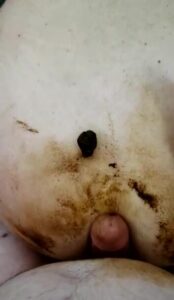 Free Scat Porn