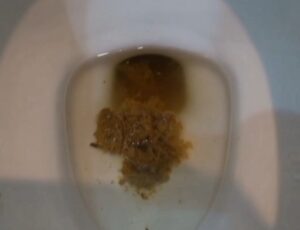 Free Scat Porn