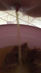 Free Scat Porn