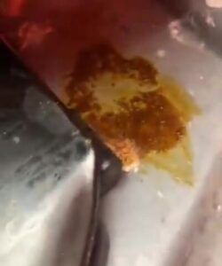 Free Scat Porn