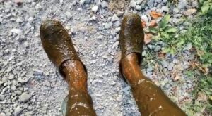 Free Scat Porn