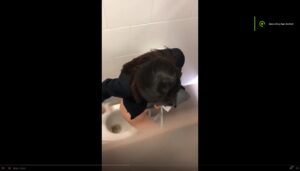 Free Scat Porn