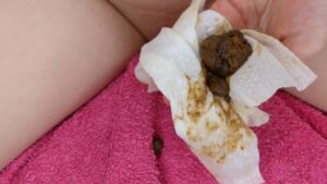 Free Scat Porn