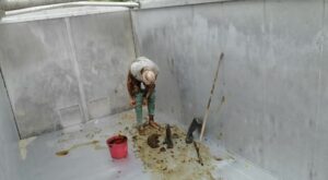Free Scat Porn