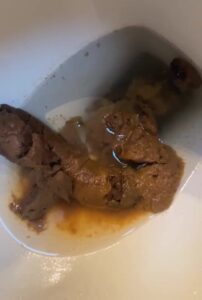 Free Scat Porn