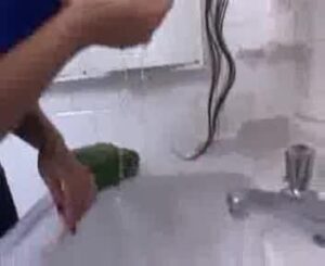 Free Scat Porn