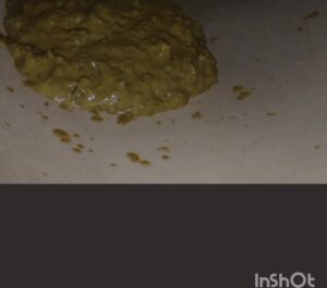 Free Scat Porn