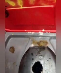 Free Scat Porn
