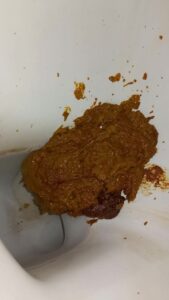 Free Scat Porn