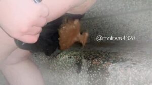 Free Scat Porn