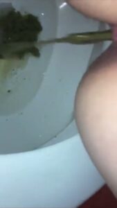 Free Scat Porn