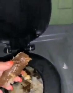 Free Scat Porn