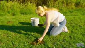 Free Scat Porn