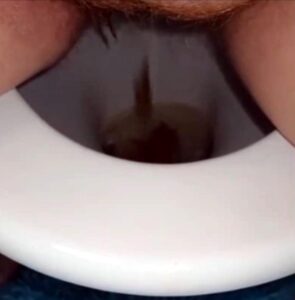 Free Scat Porn