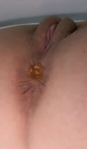 Free Scat Porn