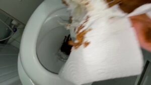 Free Scat Porn