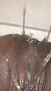 Free Scat Porn