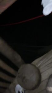 Free Scat Porn