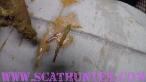 Free Scat Porn