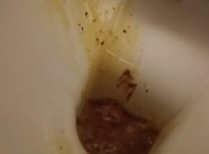 Free Scat Porn