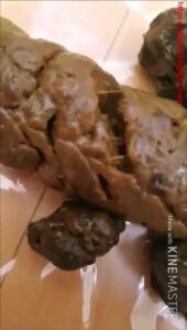 Free Scat Porn