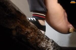 Free Scat Porn