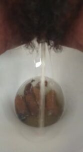 Free Scat Porn