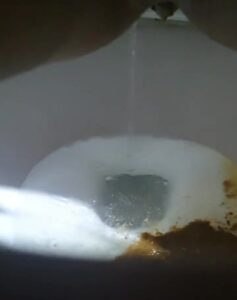 Free Scat Porn