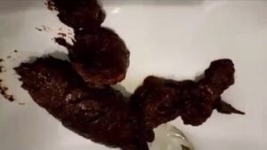 Free Scat Porn
