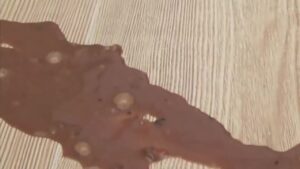 Free Scat Porn