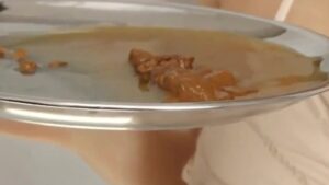 Free Scat Porn