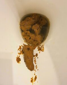 Free Scat Porn