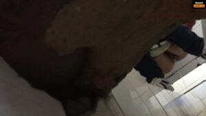 Free Scat Porn