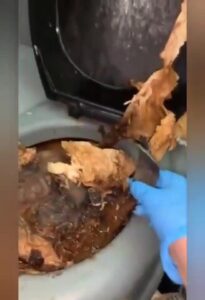 Free Scat Porn