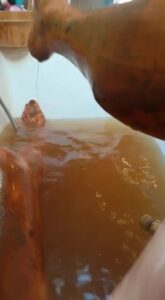 Free Scat Porn