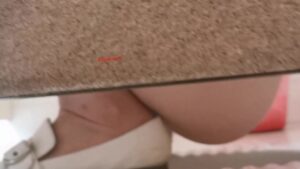 Free Scat Porn