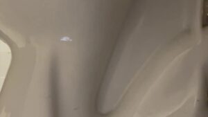 Free Scat Porn
