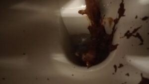 Free Scat Porn