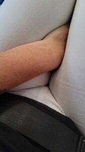 Free Scat Porn
