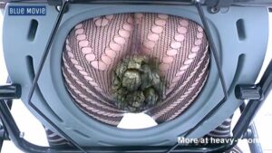 Free Scat Porn