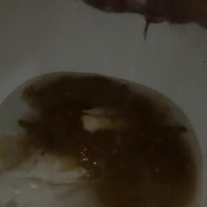 Free Scat Porn