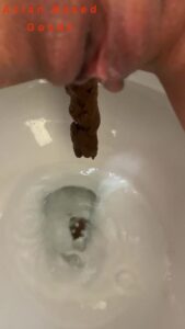 Free Scat Porn