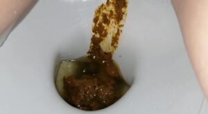Free Scat Porn